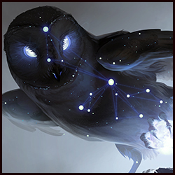 Noctua Steals the Moon, 2016